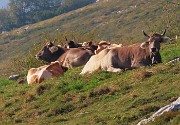 Cima Foppazzi (2097 m) e Cima Grem (2049 m) da Alpe Arera - 2ott23 - FOTOGALLERY